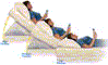 Matress Genie
