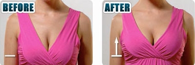 strap perfect bra clip